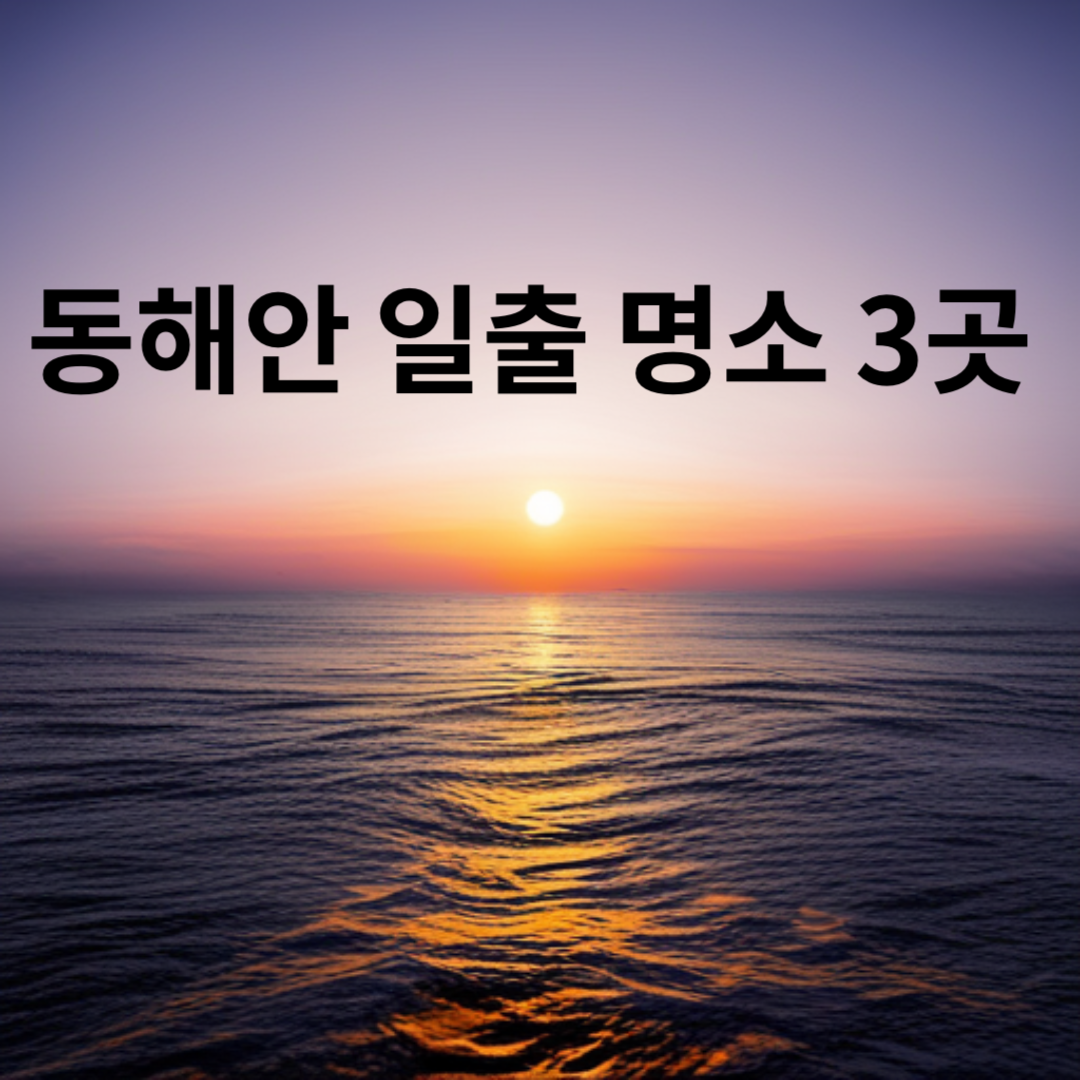 동해안에 태양이 떠오르는 모습